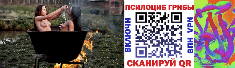 Псилоцибиновые грибы MAGIC MUSHROOMS  купить наркоту  Владимир 