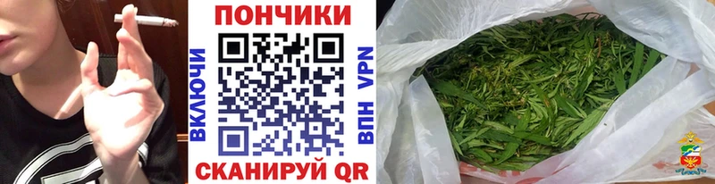 kraken ССЫЛКА  Владимир  Марихуана план 